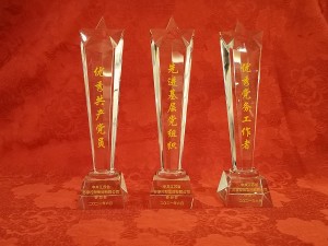 2021優(yōu)秀共產(chǎn)黨員、黨務(wù)工作者、先進基層黨組織
